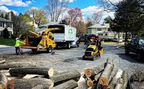 Grass Overseeding in Claymont, DE